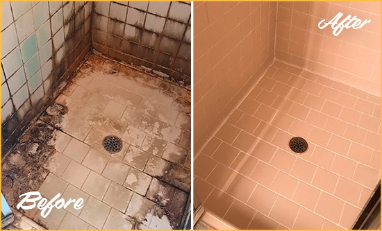 Before and After Picture of a Cedar Island Shower Tile and Grout Cleaned to Repair Water Damage